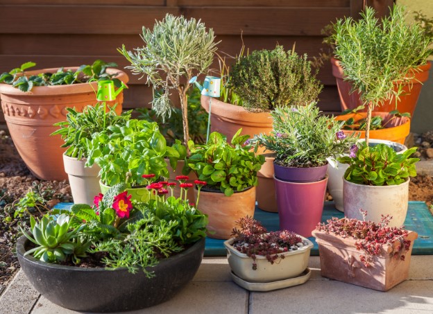 вплив матеріалу горщика на вологість ґрунту